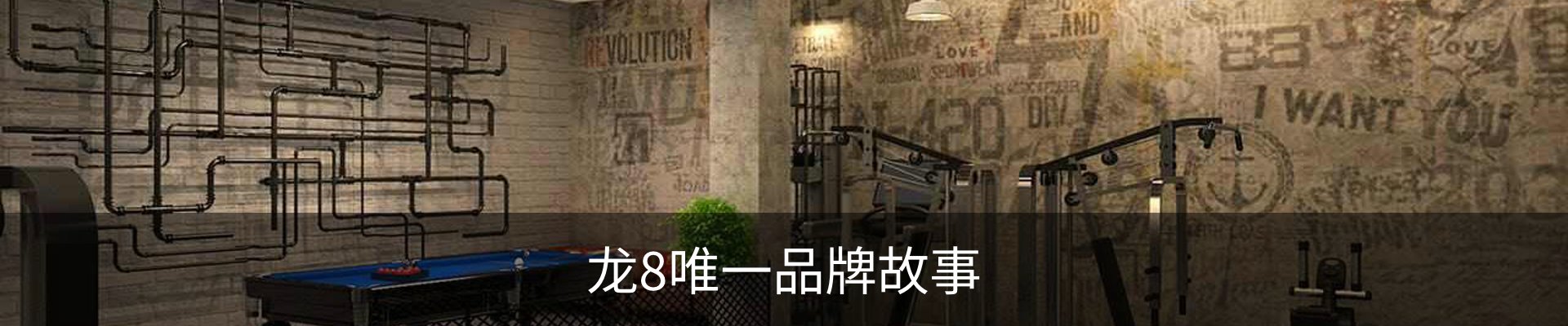 龙8唯一品牌故事